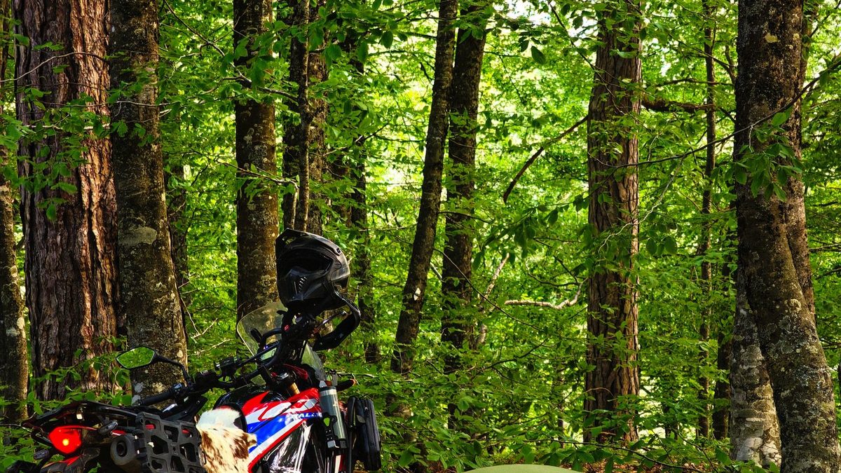 Motorcycle and tent in lush forest