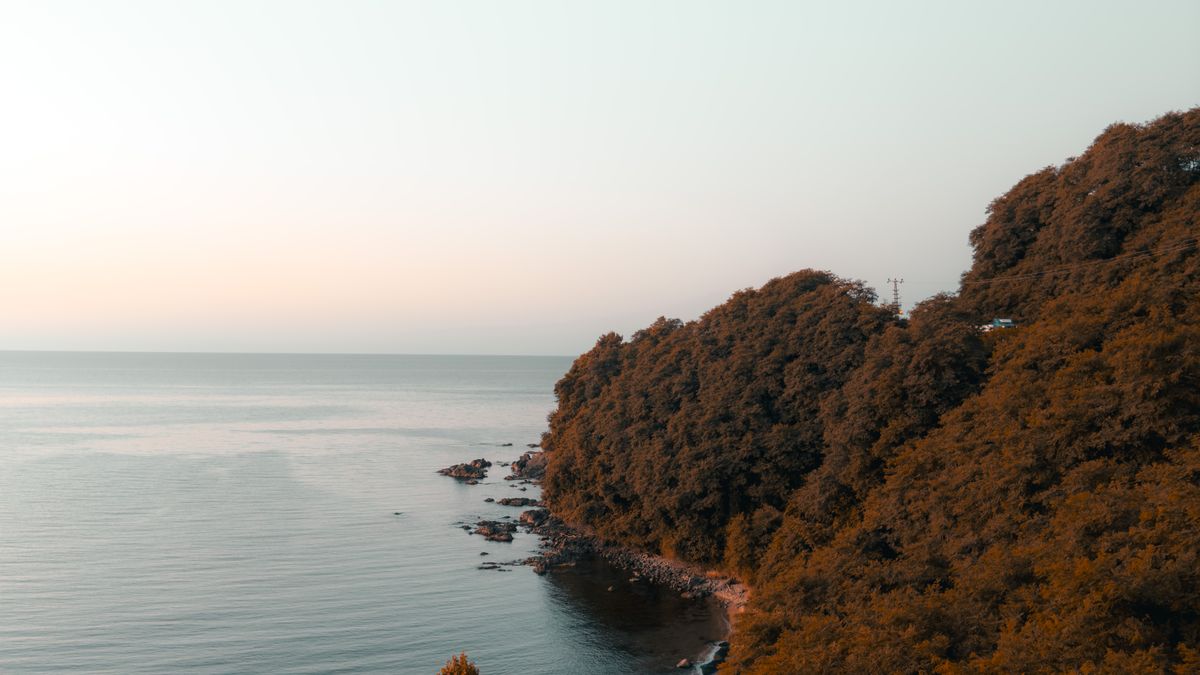 Autumn coloured cliffs above the sea on a coastal fall ride
