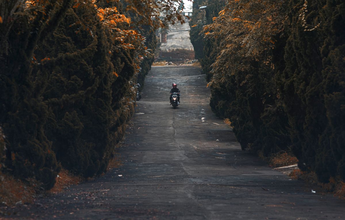 Motorcyclist riding solo on a tree-lined road